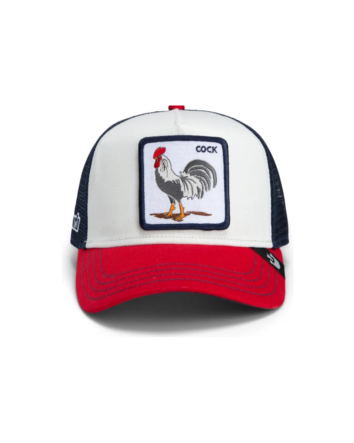 Cock - Gallo